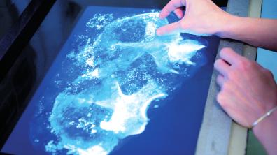 Sous l’œil de l’appareil de radiographie, on découvre un bassin humain pris dans une motte, issu d’une fouille archéologique. Elsa Lambert désigne une zone sur laquelle on discerne les restes d’une parure réalisée en fil métallique.